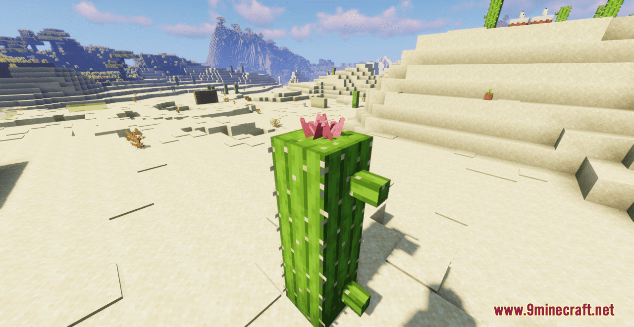 Desert+ Resource Pack (1.20.6, 1.20.1) - Texture Pack 4