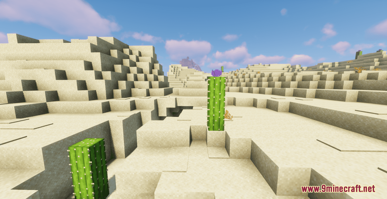 Desert+ Resource Pack (1.20.6, 1.20.1) - Texture Pack 6