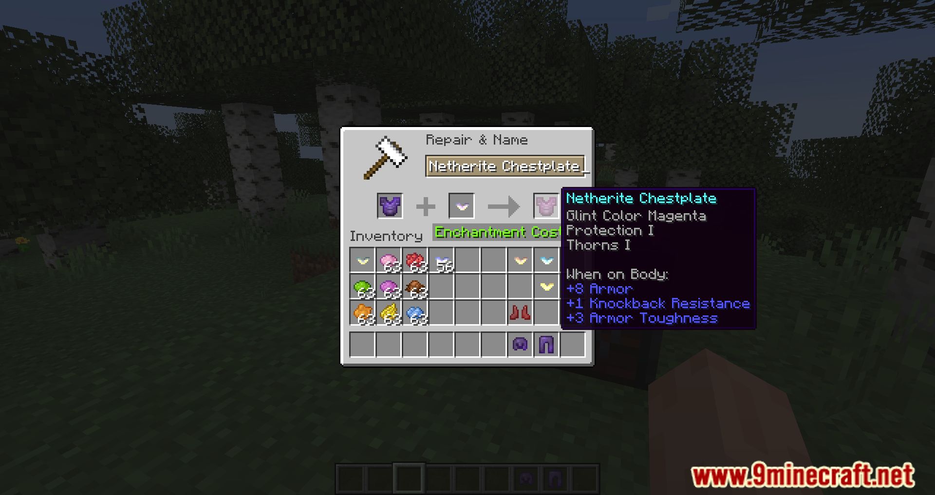 Enchant the Rainbow Mod (1.20.4, 1.19.4) - Colorful Equipment 8