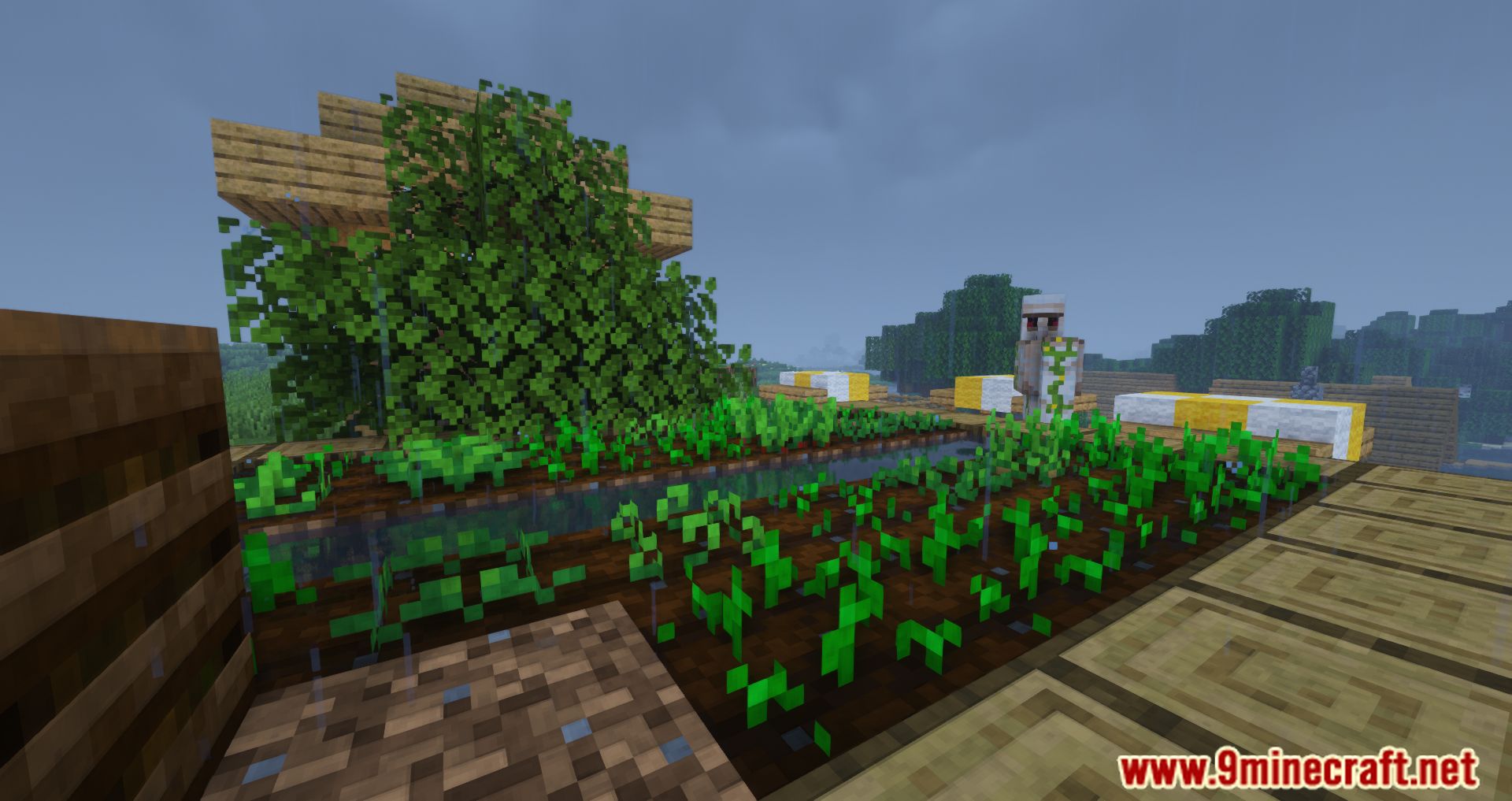 Farming in Rain Mod (1.19, 1.18.2) - Weather Can Affect The Growth Of Crops 2