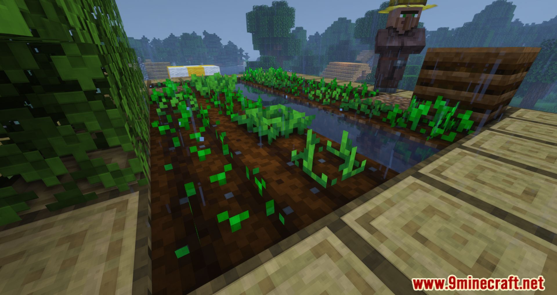 Farming in Rain Mod (1.19, 1.18.2) - Weather Can Affect The Growth Of Crops 5