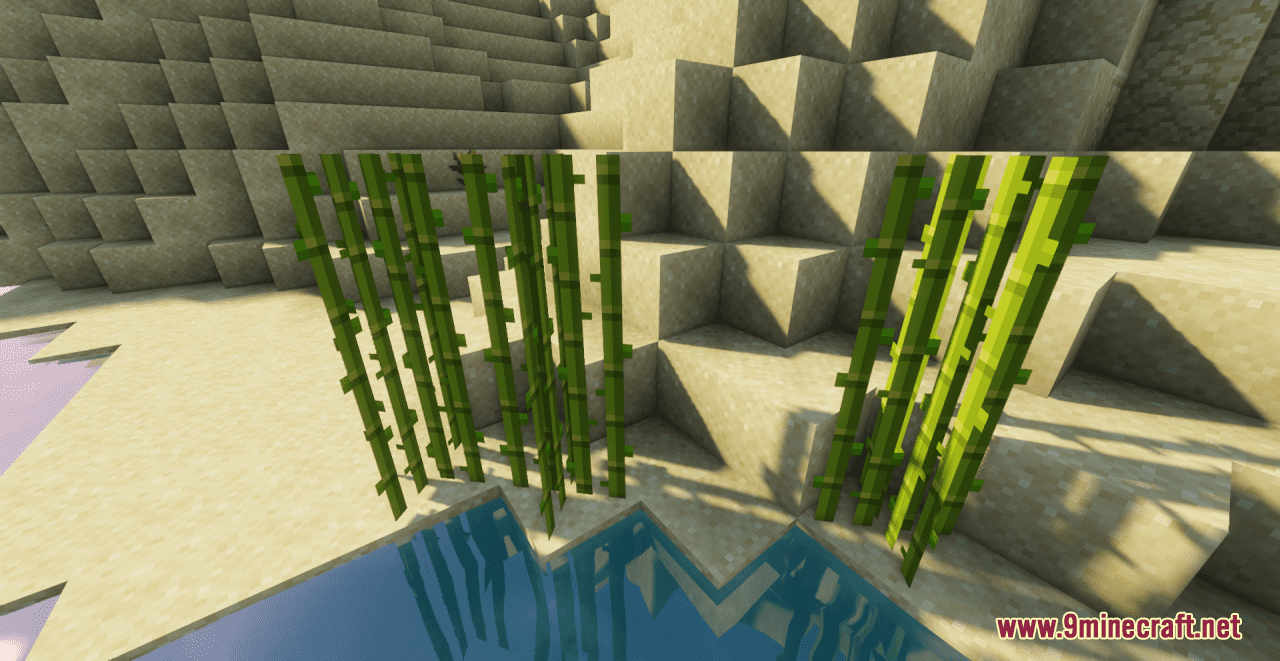 Kova's Aesthetic Bamboo Resource Pack (1.20.6, 1.20.1) - Texture Pack 15