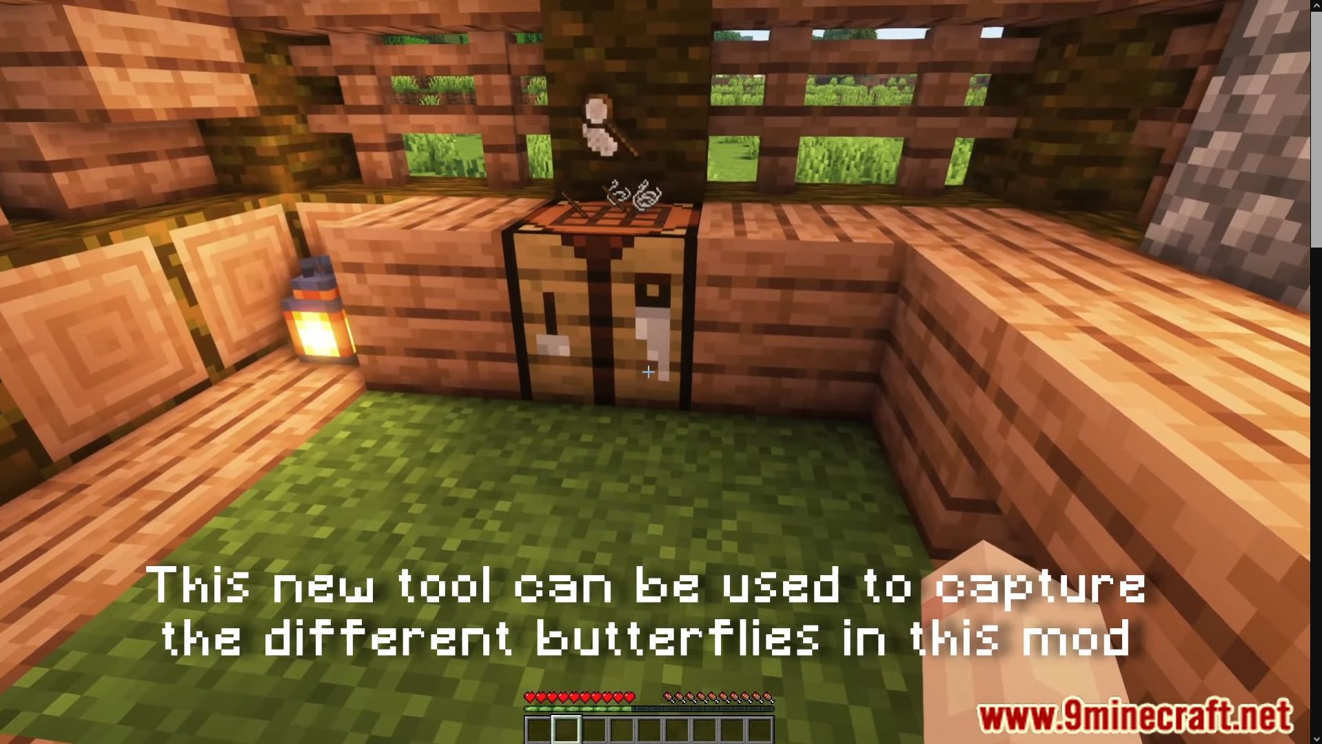 Lil' Wings Mod (1.19.2, 1.18.2) - Lighten Up Your World With New Butterfly 4