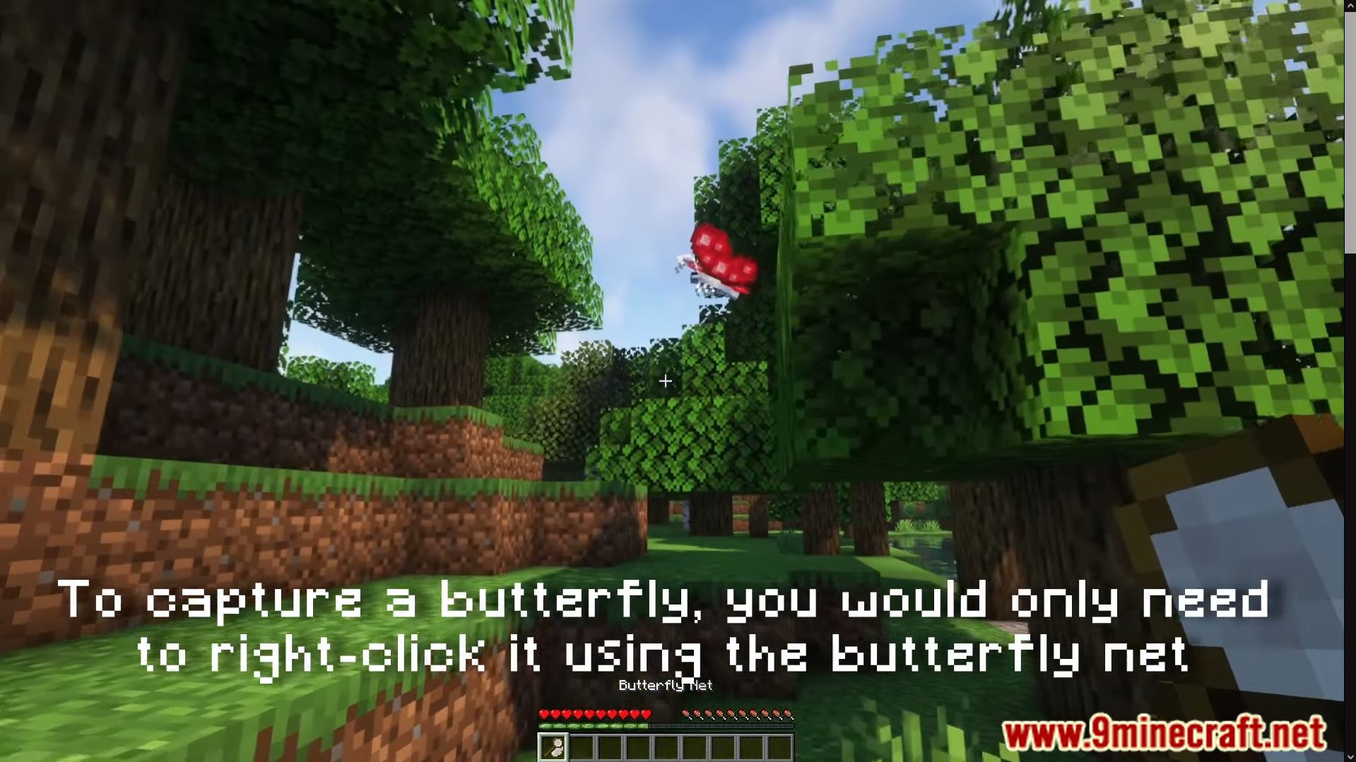 Lil' Wings Mod (1.19.2, 1.18.2) - Lighten Up Your World With New Butterfly 6