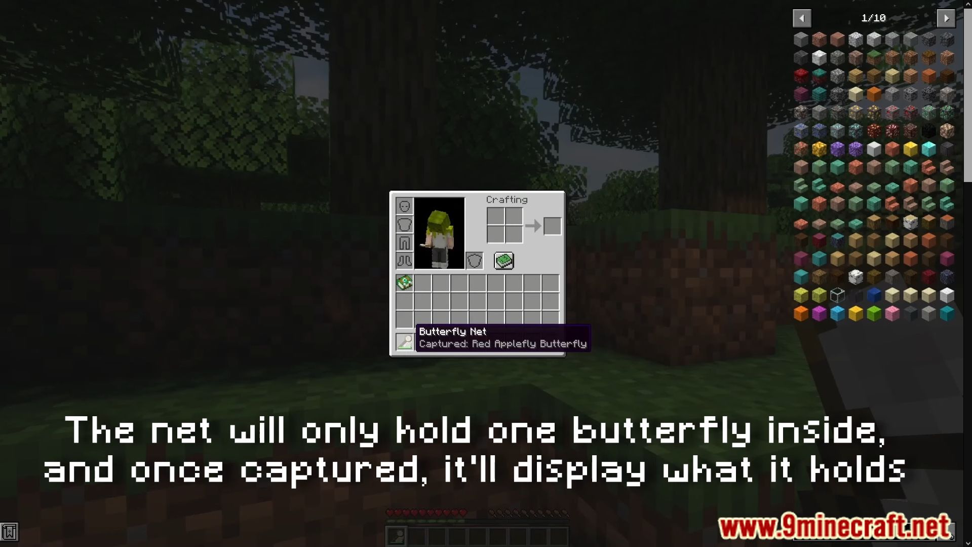 Lil' Wings Mod (1.19.2, 1.18.2) - Lighten Up Your World With New Butterfly 7