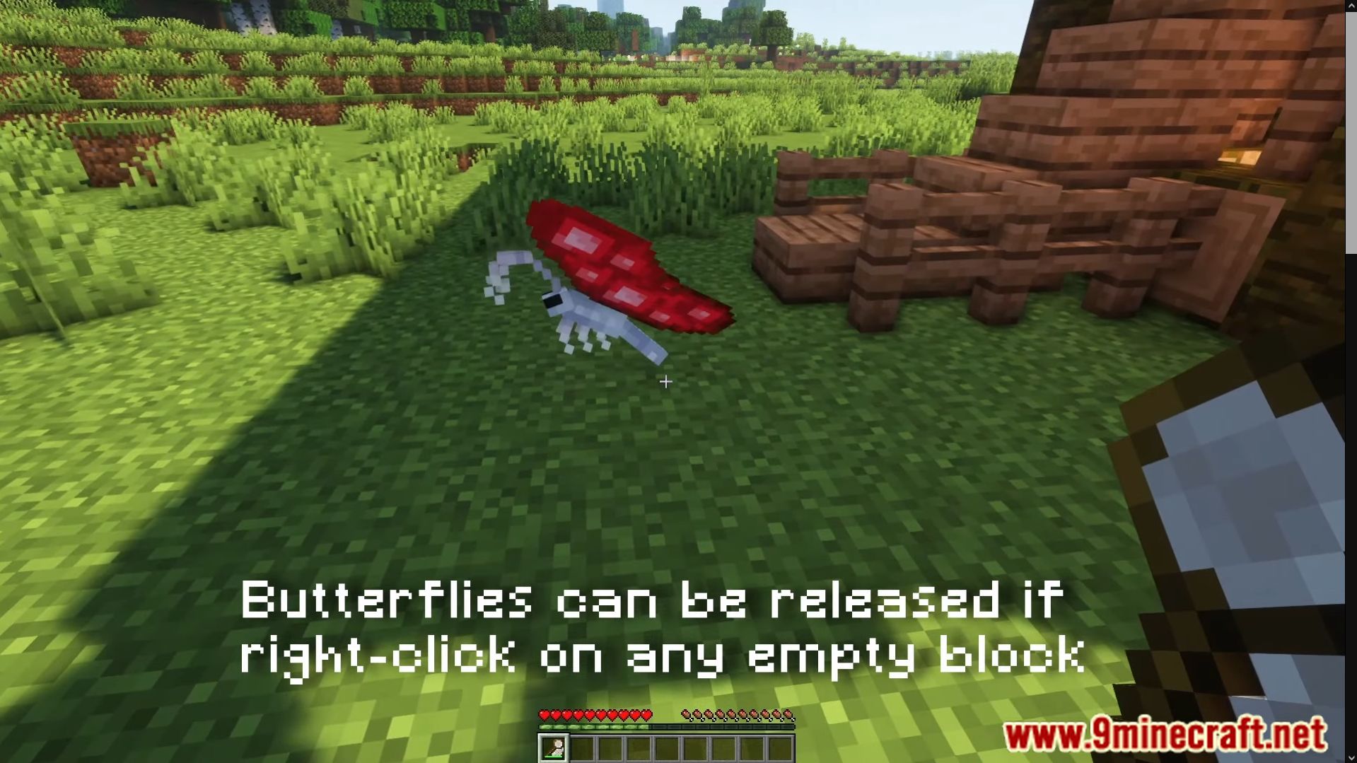 Lil' Wings Mod (1.19.2, 1.18.2) - Lighten Up Your World With New Butterfly 8