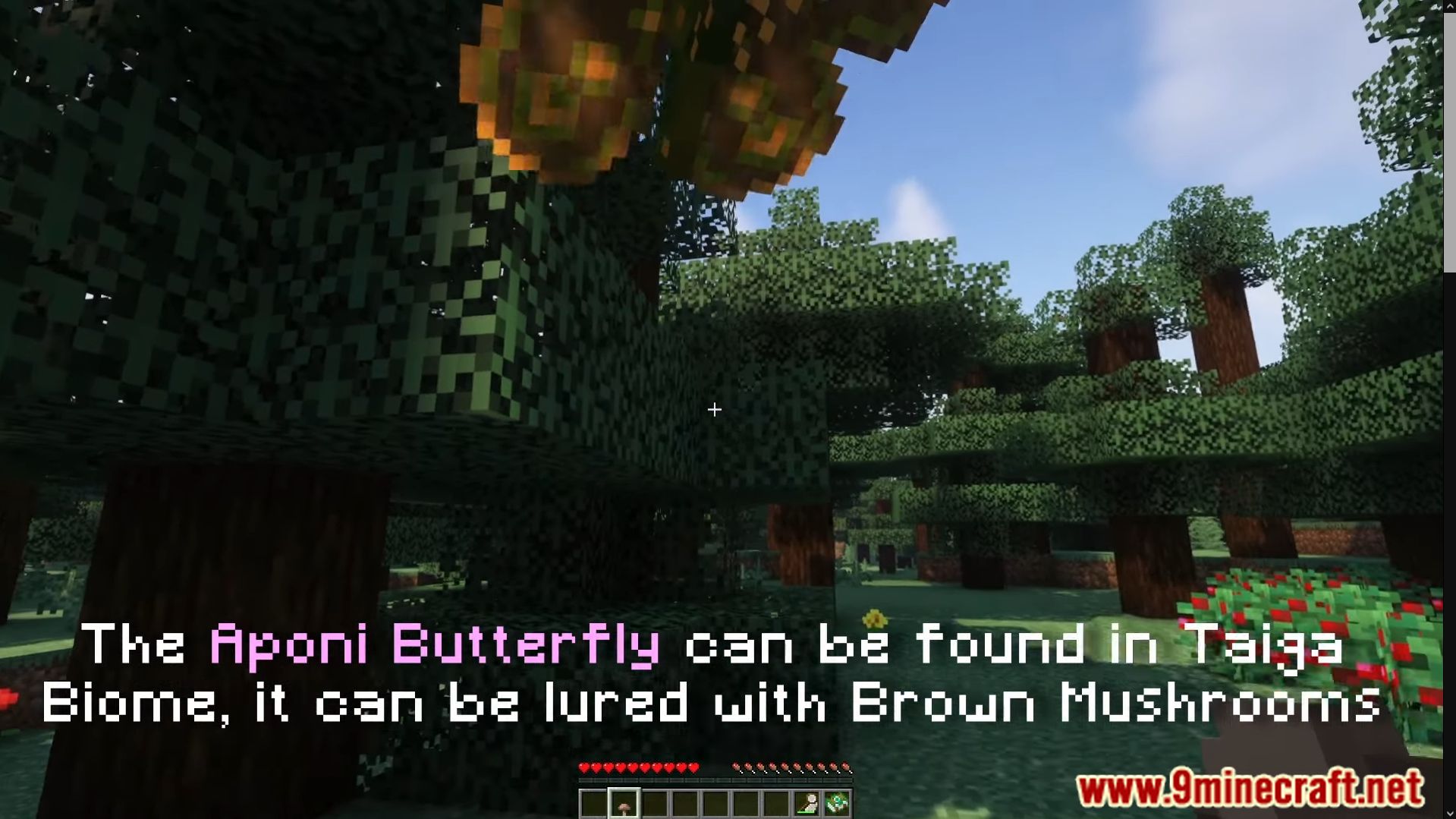 Lil' Wings Mod (1.19.2, 1.18.2) - Lighten Up Your World With New Butterfly 12