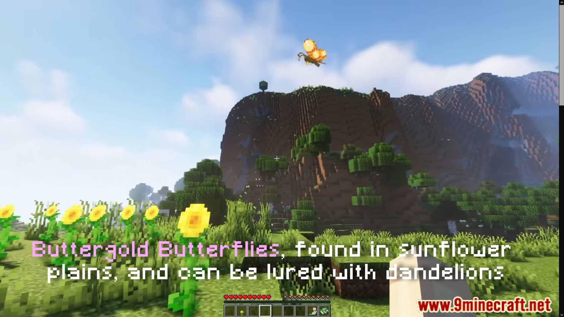 Lil' Wings Mod (1.19.2, 1.18.2) - Lighten Up Your World With New Butterfly 17