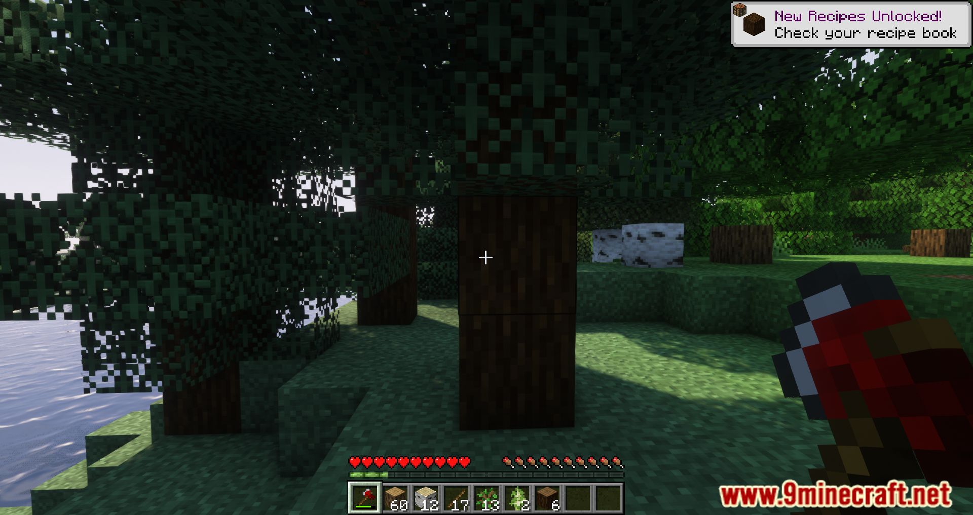 Lumber's Axe Mod (1.19.4, 1.18.2) - Chop Wood Faster With Lumber Axe 11