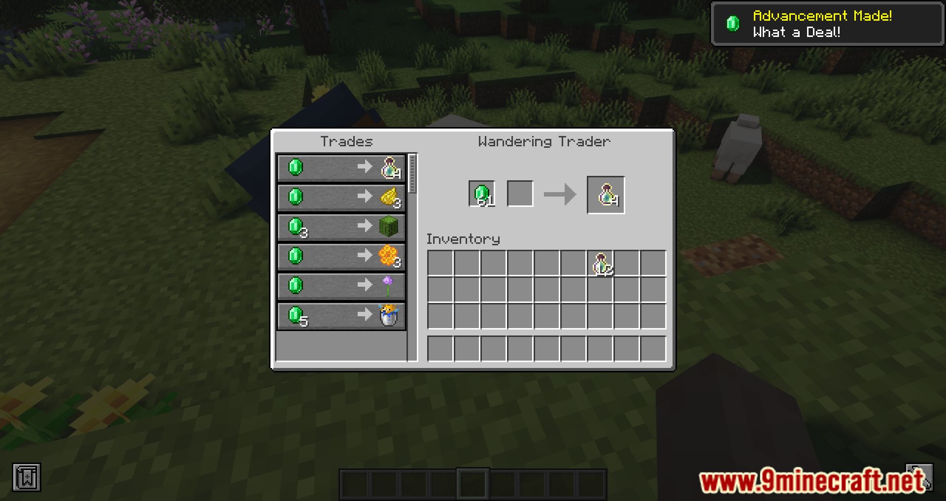 More Wandering Trades Mod (1.19.4, 1.18.2) - New Trades To The Wandering Trader 3