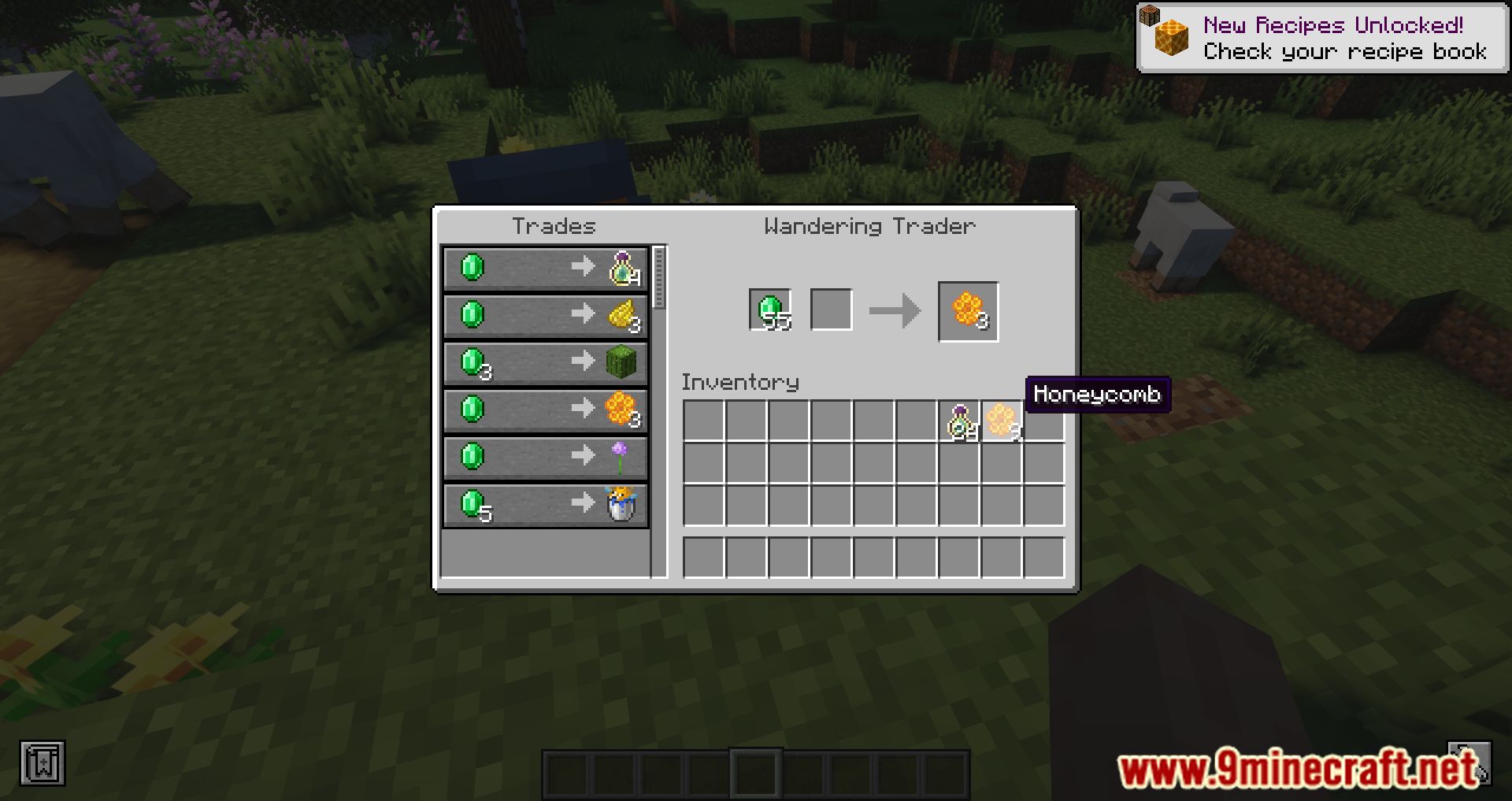 More Wandering Trades Mod (1.19.4, 1.18.2) - New Trades To The Wandering Trader 4