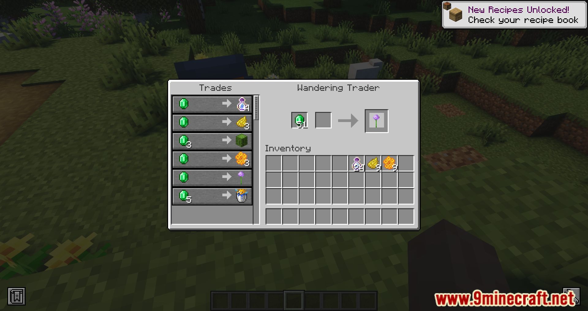 More Wandering Trades Mod (1.19.4, 1.18.2) - New Trades To The Wandering Trader 5