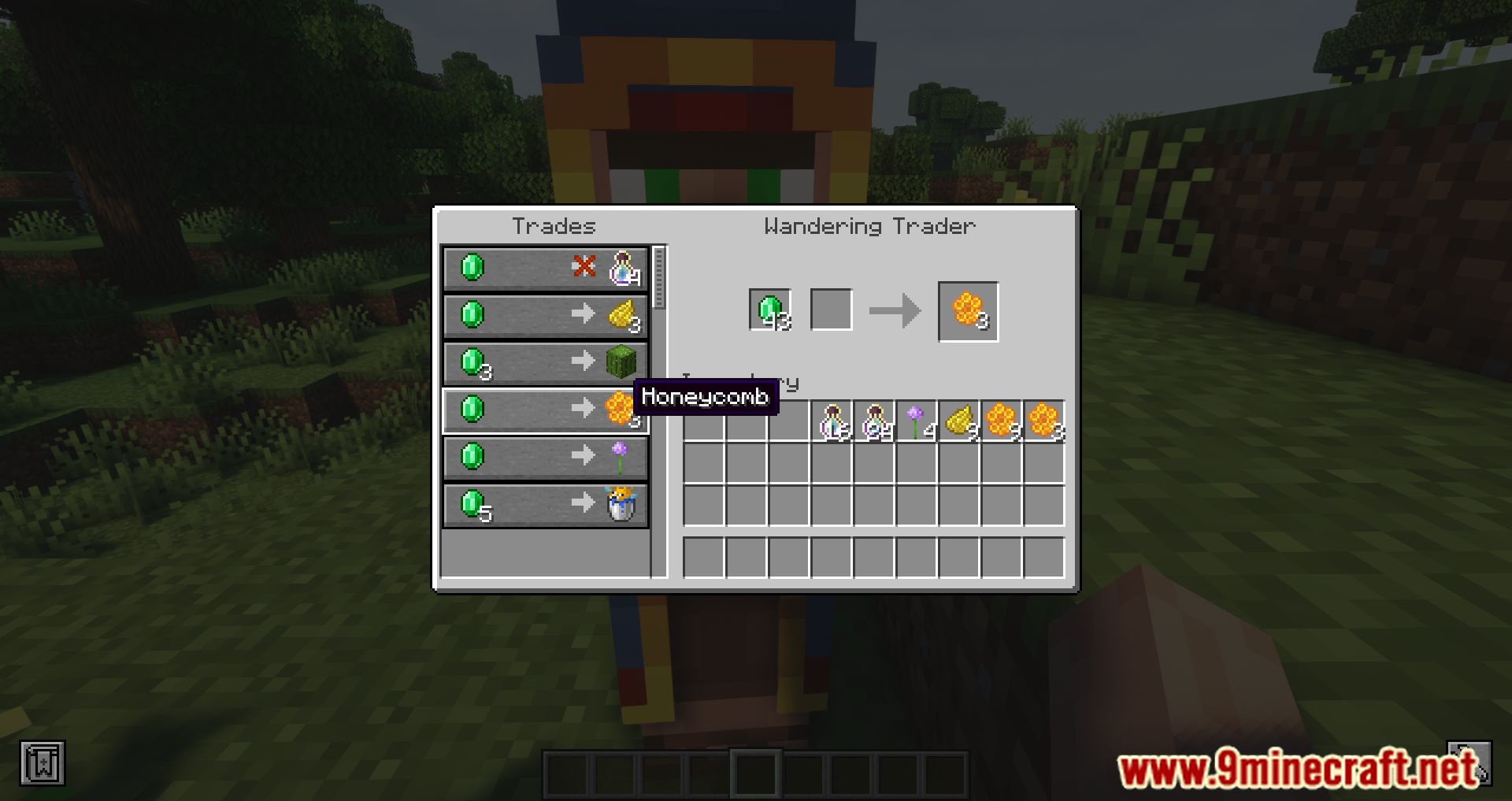 More Wandering Trades Mod (1.19.4, 1.18.2) - New Trades To The Wandering Trader 6