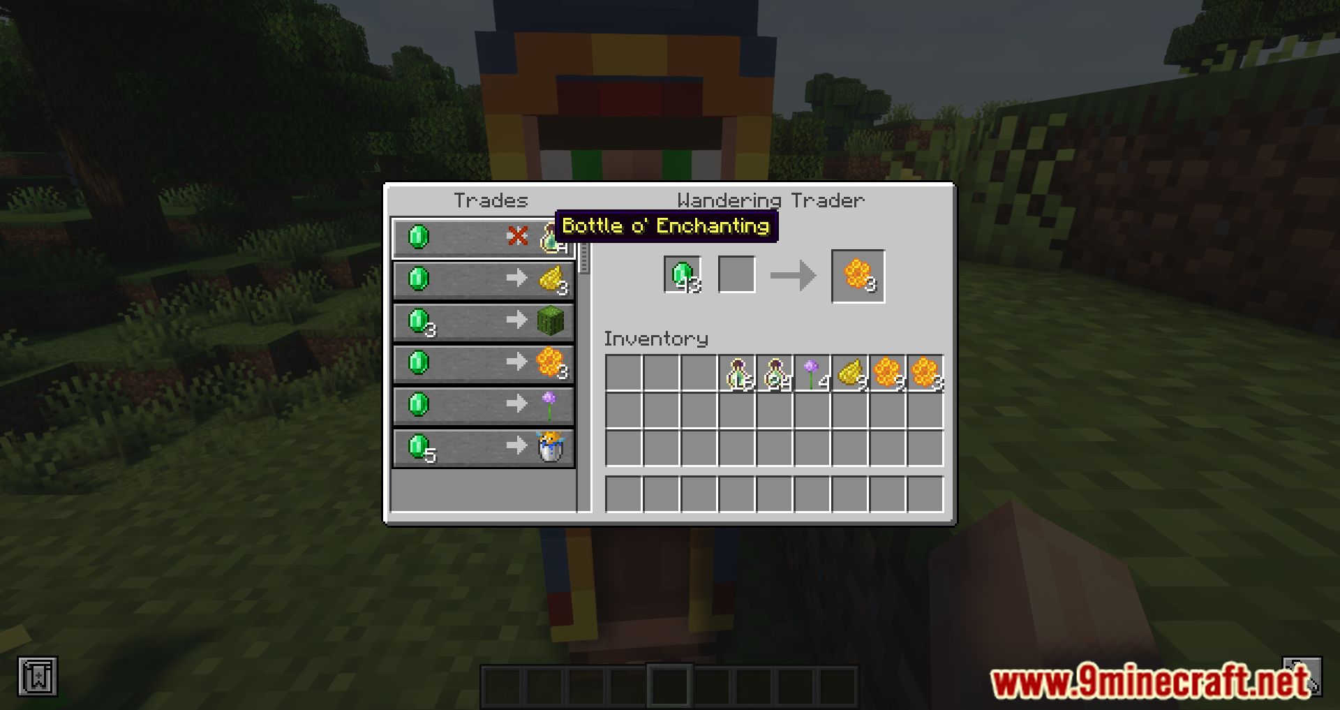 More Wandering Trades Mod (1.19.4, 1.18.2) - New Trades To The Wandering Trader 7