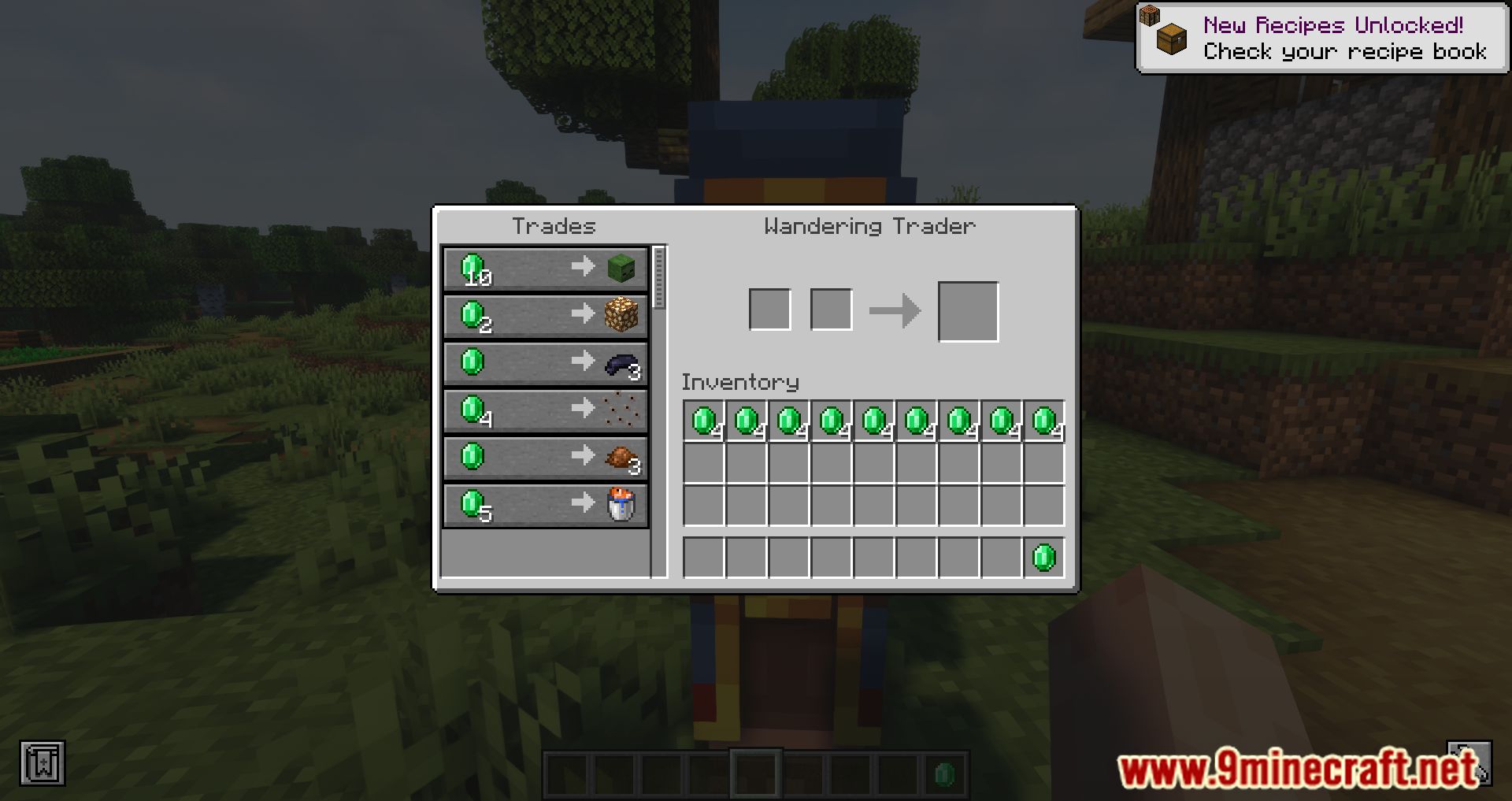 More Wandering Trades Mod (1.19.4, 1.18.2) - New Trades To The Wandering Trader 8