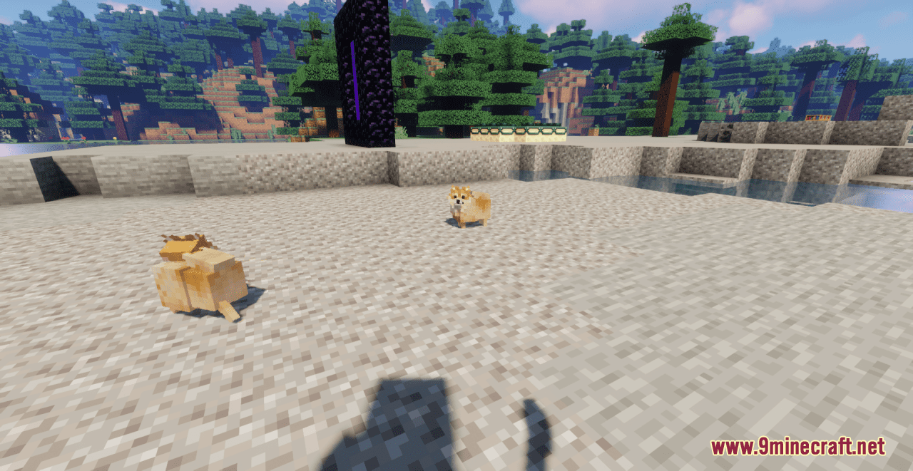 Pomeranians Resource Pack (1.20.6, 1.20.1) - Texture Pack 13