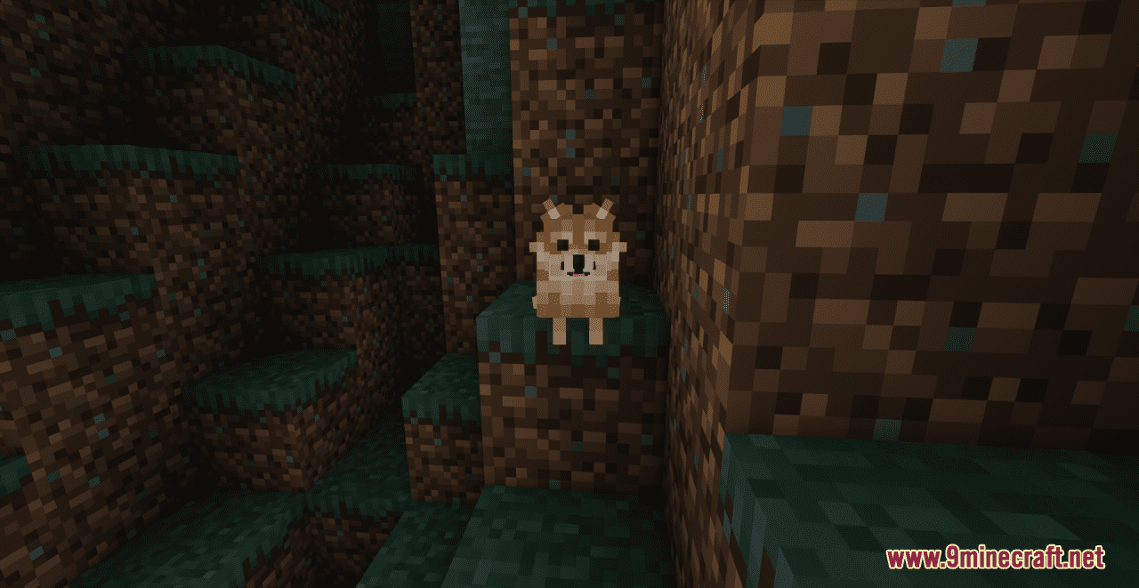 Pomeranians Resource Pack (1.20.6, 1.20.1) - Texture Pack 3