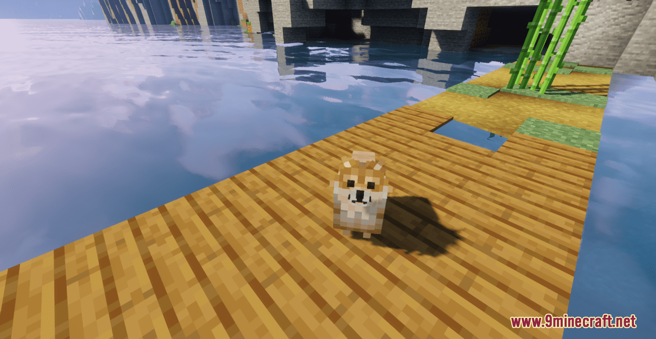 Pomeranians Resource Pack (1.20.6, 1.20.1) - Texture Pack 5