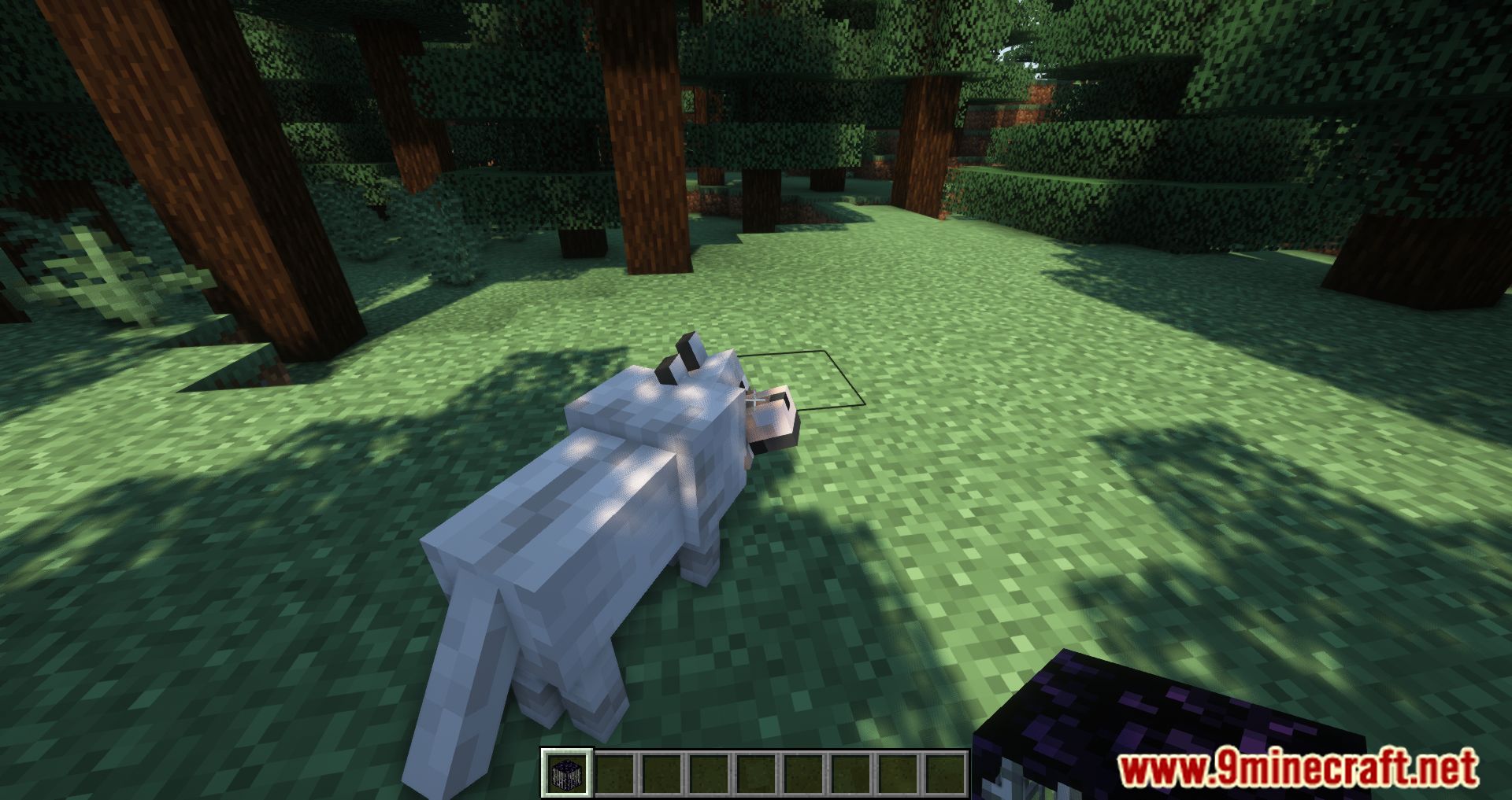 Portable Mobs Mod (1.20.2, 1.19.2) - Bring All Creatures Home With Portable Mobs Mod 9