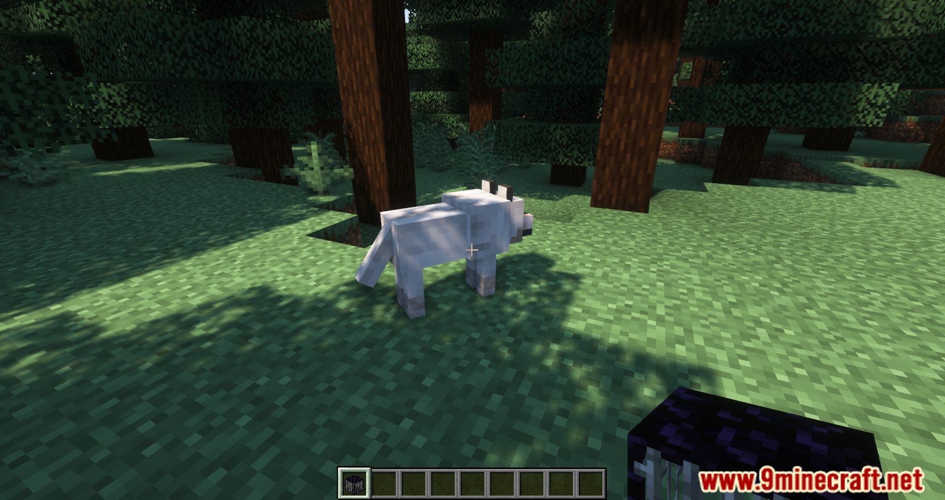 Portable Mobs Mod (1.20.2, 1.19.2) - Bring All Creatures Home With Portable Mobs Mod 11