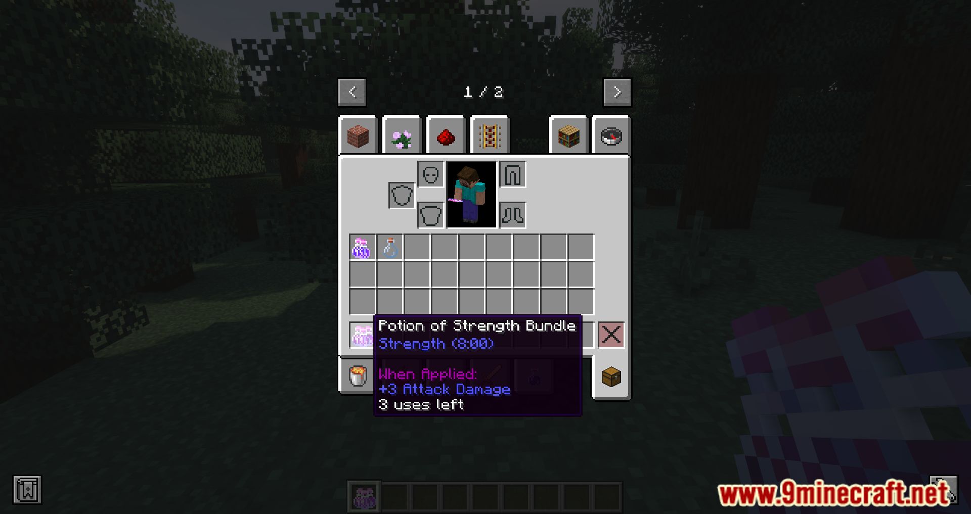 Potion Bundles Mod (1.20.4, 1.19.4) - Save Luggage With Potion Bundles Mod 6