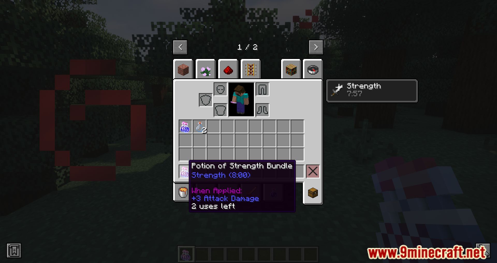 Potion Bundles Mod (1.20.4, 1.19.4) - Save Luggage With Potion Bundles Mod 8