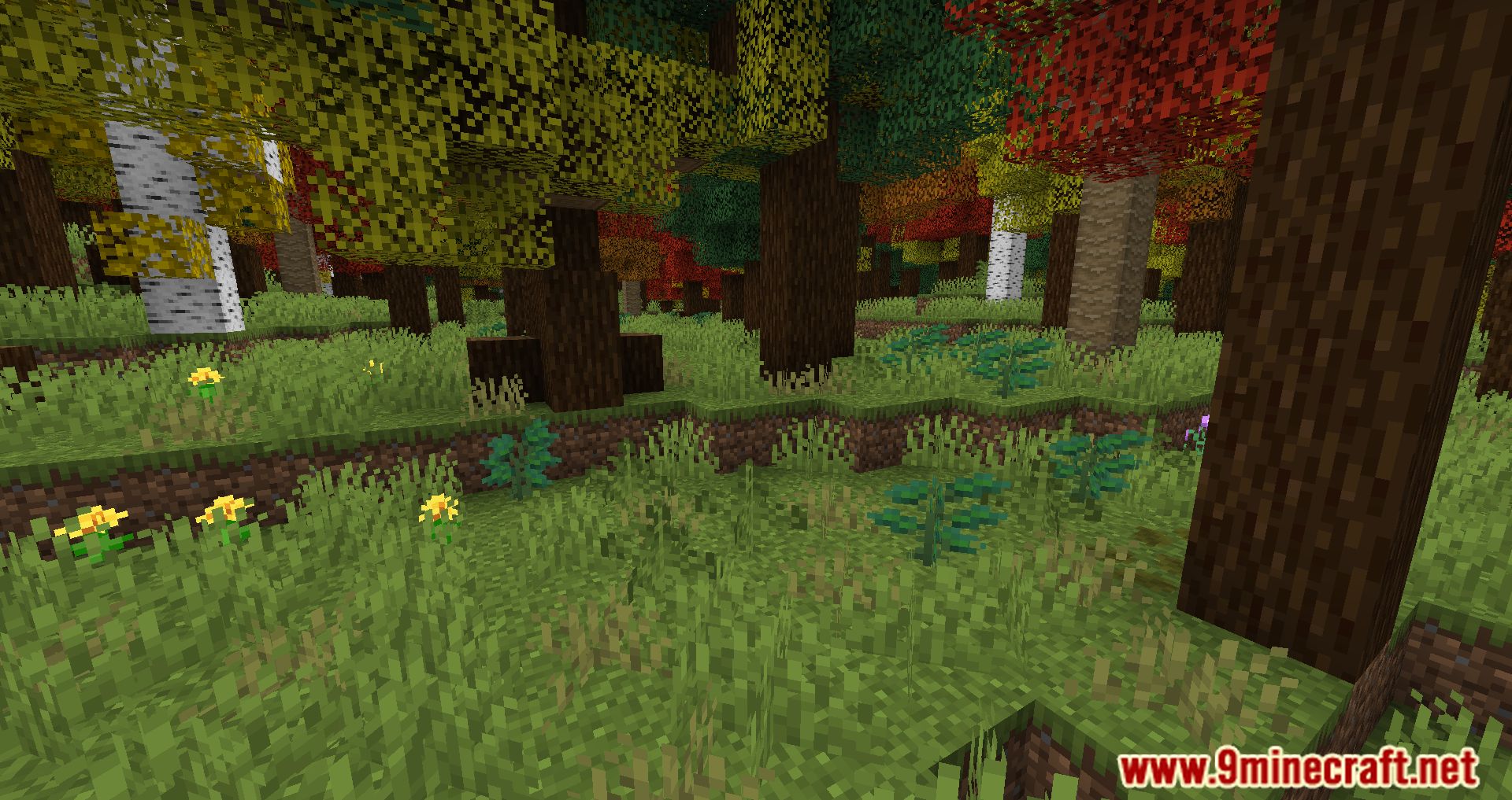 Ragnamod VI Modpack (1.16.5) - Back To The Medieval World 10