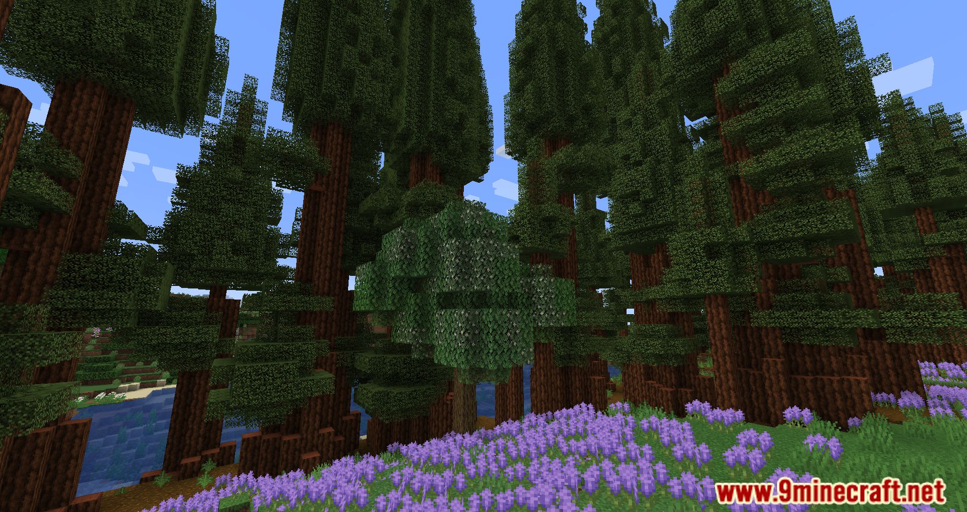 Slightly Flavoured Modpack (1.20.1, 1.19.2) - Listen To The Wind And Adventure 18