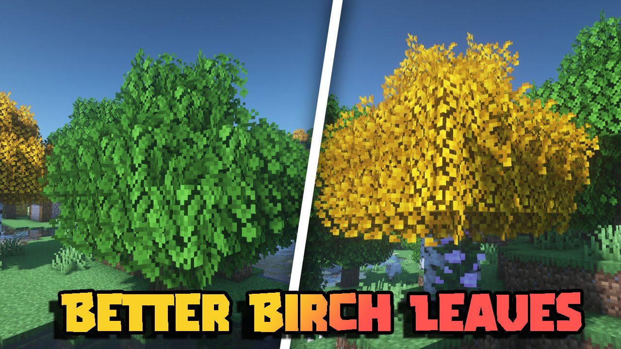 Better Birch Leaves Texture Pack (1.20, 1.19) - MCPE/Bedrock 1