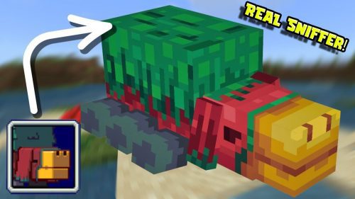Real Sniffer Texture Pack (1.20.6, 1.20.1) – Mob Vote 2022 Winner Thumbnail