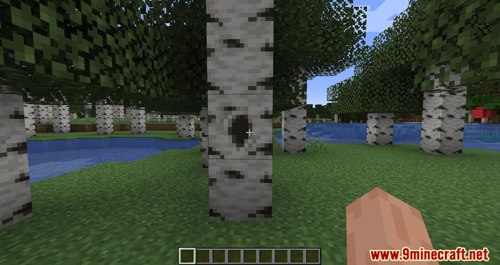 Tree Hollows Mod (1.19.3, 1.18.2) - Check Under The Tree 5
