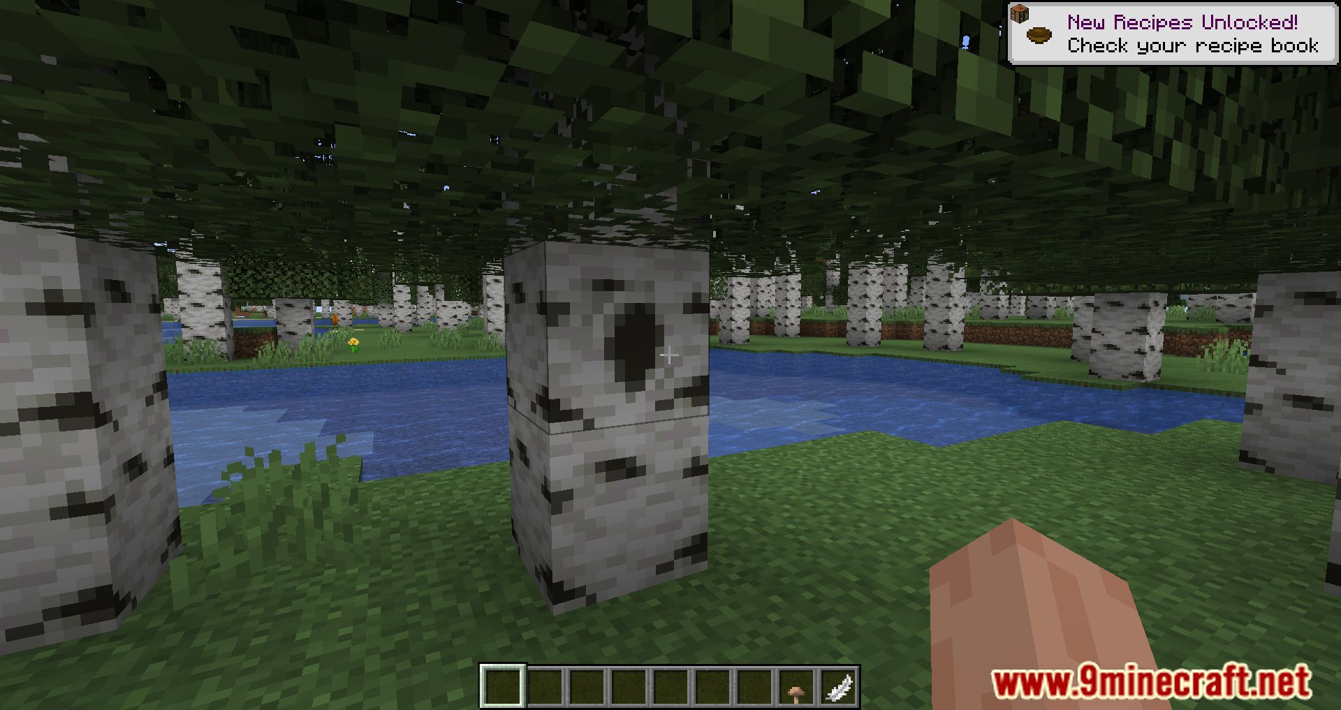 Tree Hollows Mod (1.19.3, 1.18.2) - Check Under The Tree 7