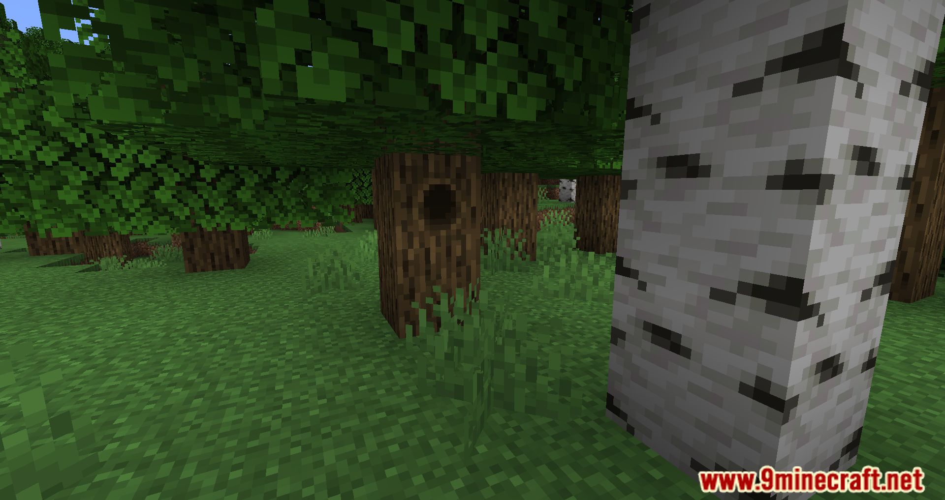 Tree Hollows Mod (1.19.3, 1.18.2) - Check Under The Tree 10