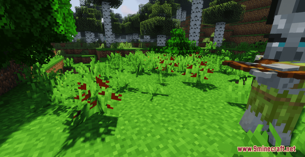 Tropic Update Resource Pack (1.20.6, 1.20.1) - Texture Pack 19