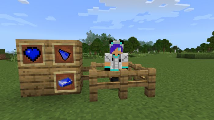 YouTuber Addon (1.19) - MCPE/Bedrock Mod 2