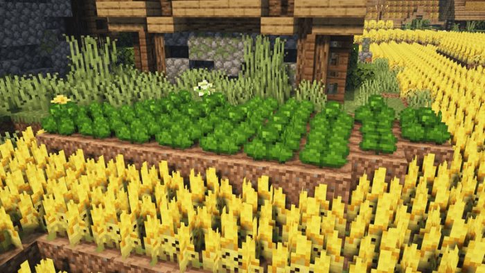 Crops Overhaul Texture Pack (1.19) - MCPE/Bedrock 12