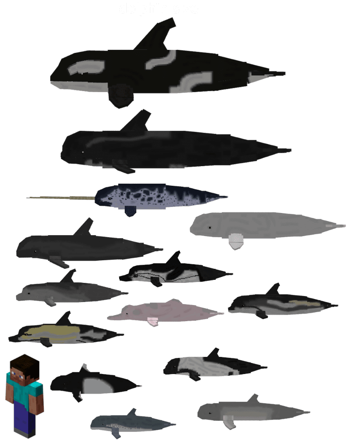 The Better Seas Mammals Addon (1.19) - MCPE/Bedrock Mod 16