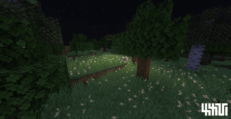 XXVI's Flowering Grass and Roots Texture Pack (1.19) - MCPE/Bedrock 2