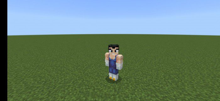 DragonBall Skin Pack (1.19) - MCPE/Bedrock 9