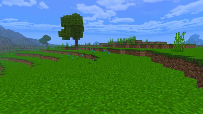 BRDSP Shader (1.19) - 10 Shaders in 1 Pack, Support RenderDragon 10