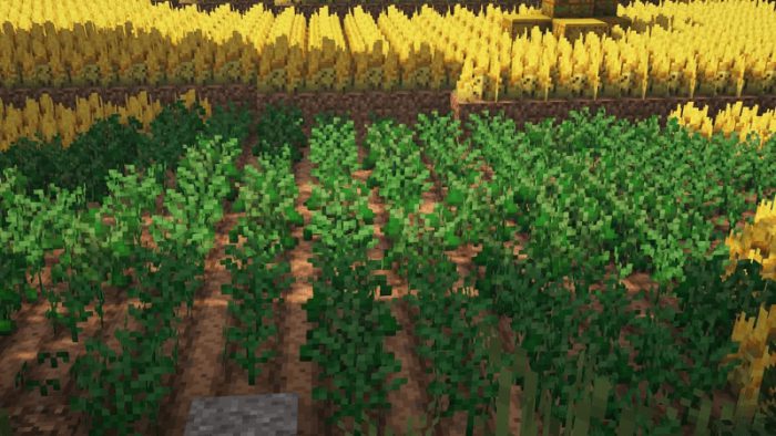 Crops Overhaul Texture Pack (1.19) - MCPE/Bedrock 9