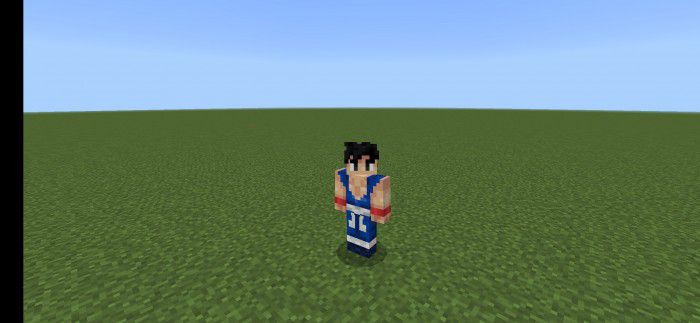 DragonBall Skin Pack (1.19) - MCPE/Bedrock 10