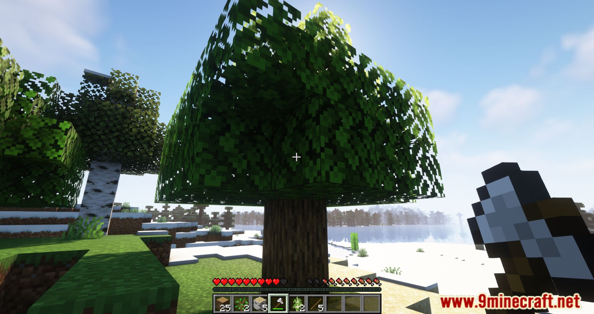 Accelerated Decay Mod (1.21, 1.20.1) - Utility In Cutting Trees 12