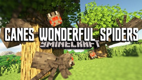 Canes Wonderful Spiders Mod (1.19.2, 1.18.2) – Make Spiders Absolutely Terrifying Thumbnail