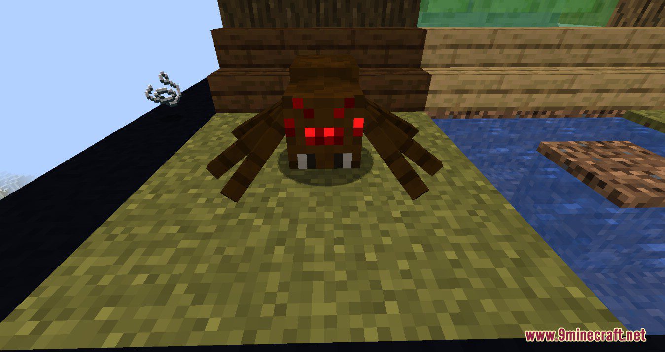 Canes Wonderful Spiders Mod (1.19.2, 1.18.2) - Make Spiders Absolutely Terrifying 6