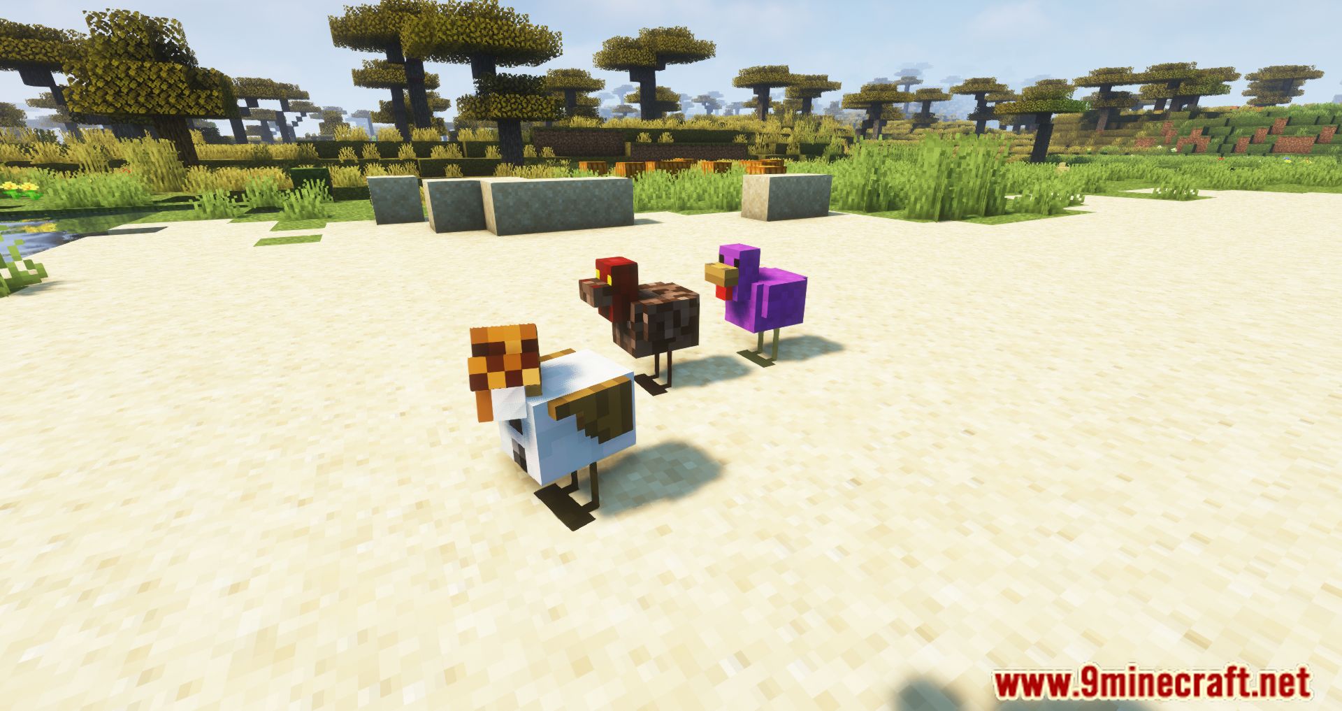 CreeperHost Presents Chickens Mod (1.19.2, 1.18.2) - Chickens Are Less Noisy 4