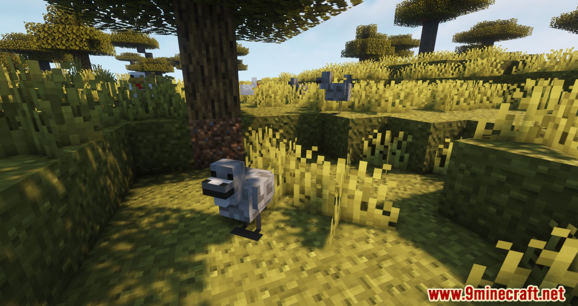 CreeperHost Presents Chickens Mod (1.19.2, 1.18.2) - Chickens Are Less Noisy 8