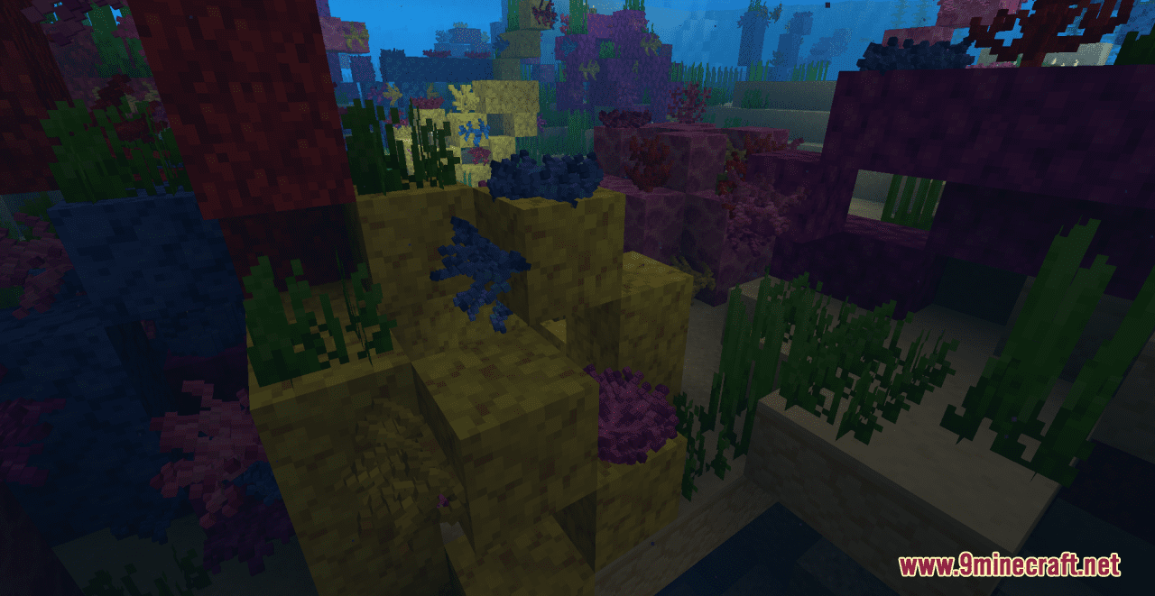 Cybers Better Coral Resource Pack (1.20.6, 1.20.1) - Texture Pack 11