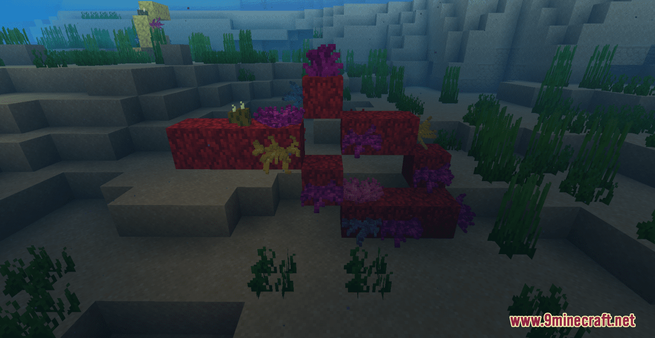 Cybers Better Coral Resource Pack (1.20.6, 1.20.1) - Texture Pack 14