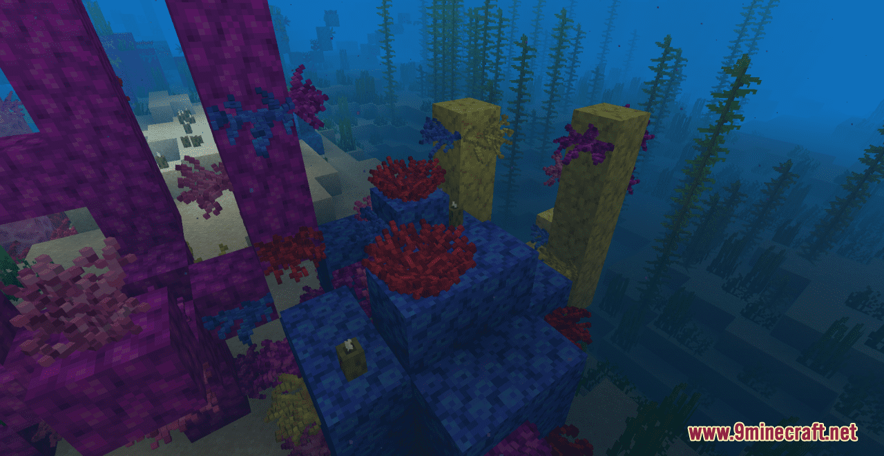 Cybers Better Coral Resource Pack (1.20.6, 1.20.1) - Texture Pack 8